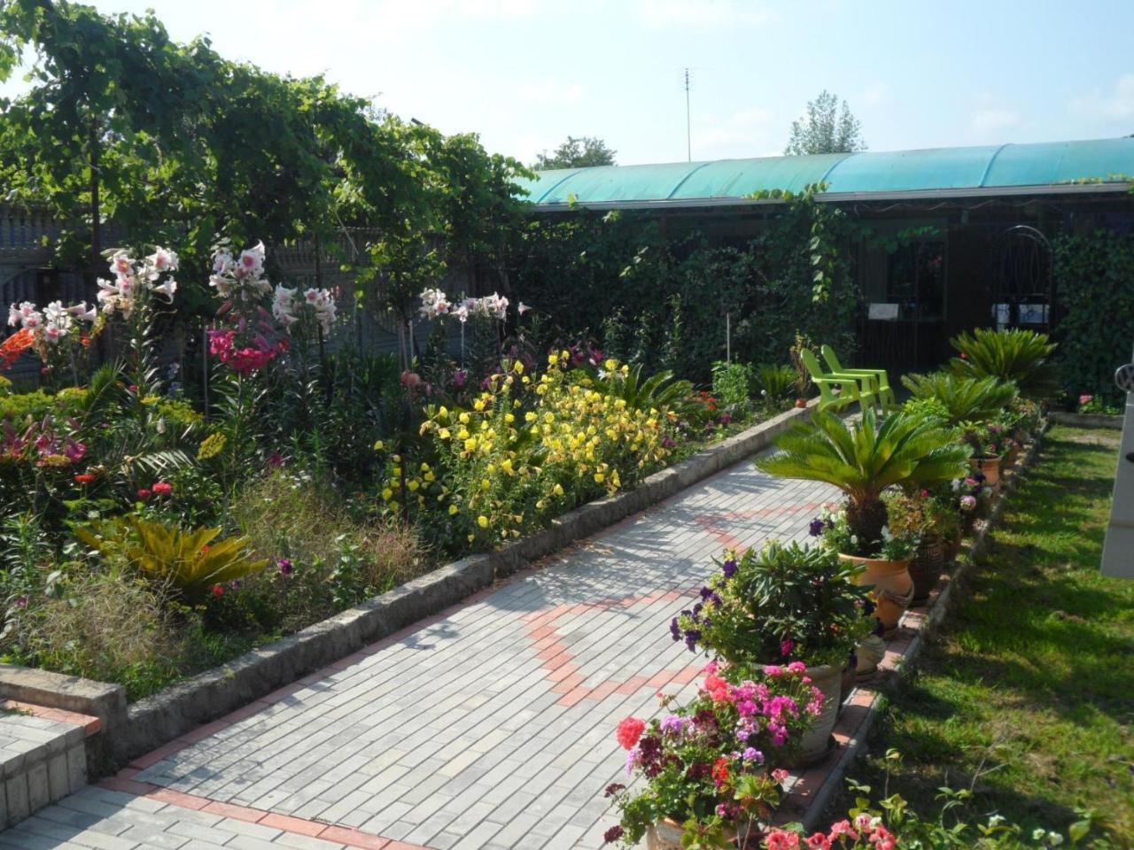 Galina Guest House Alakhadzi Esterno foto